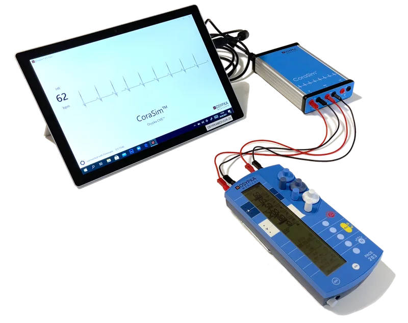 CoraSim interactive electrical heart simulator workstation
